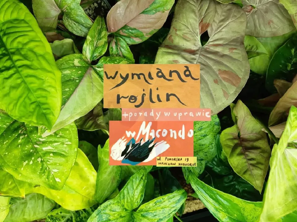 Wymiana roślin i porady w uprawie