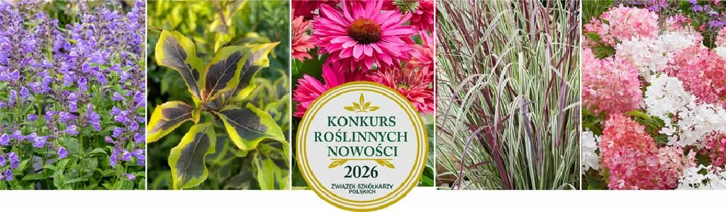 Konkurs Roślinnych Nowości 2026 – ekspozycja