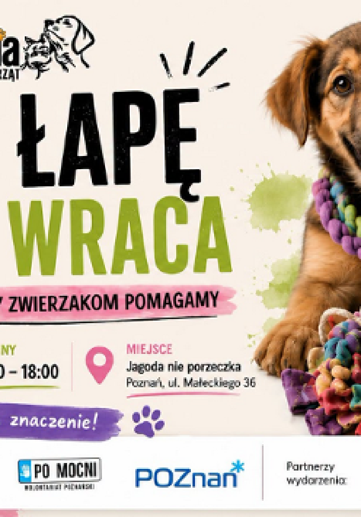 Podaj łapę – warsztaty rękodzielnicze dla zwierząt