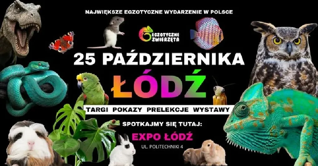 Egzotyczne zwierzęta – targi w Hali EXPO