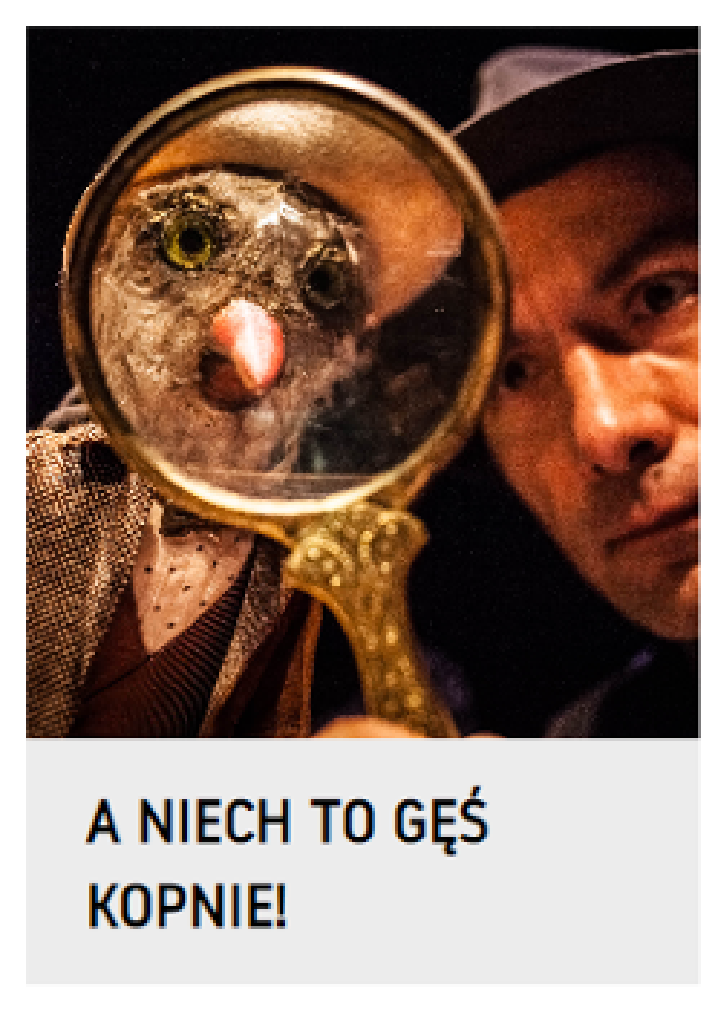 A niech to Gęś kopnie! – spektakl