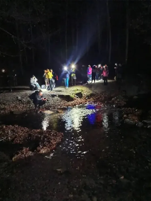 Marsz Głuchej Nocy – nocna wędrówka