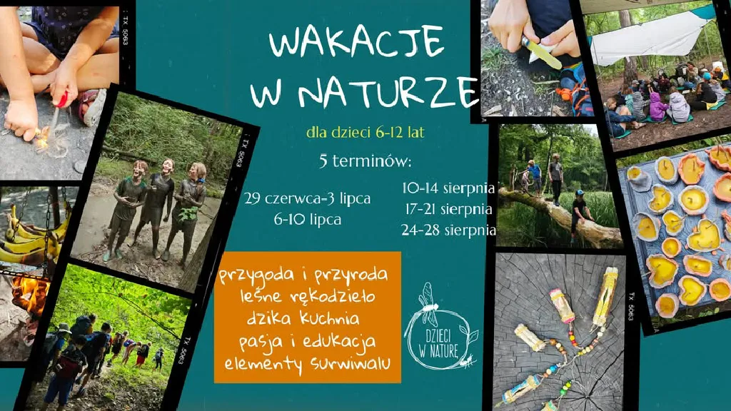 Wakacje w Naturze – przyrodnicze zajęcia dla dzieci
