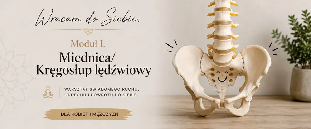 Warsztat Wracam do Siebie: Miednica i Kręgosłup Lędźwiowy
