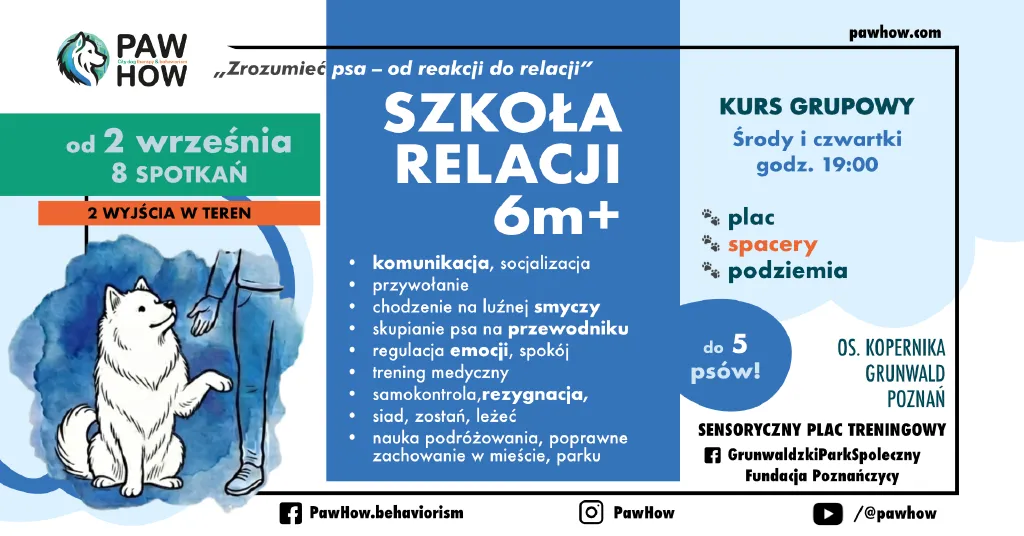Kurs posłuszeństwa dla psów PAW HOW Szkoła Relacji. Pies