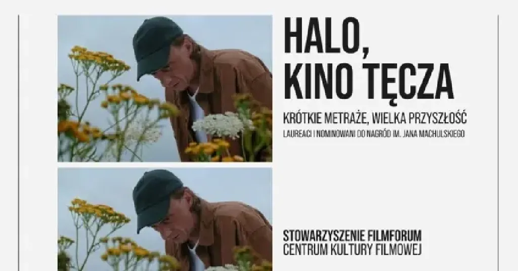HALO, KINO TĘCZA – Krótkie metraże