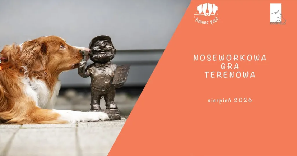 Noseworkowa Gra Terenowa – Kampus Politechniki Wrocławskiej