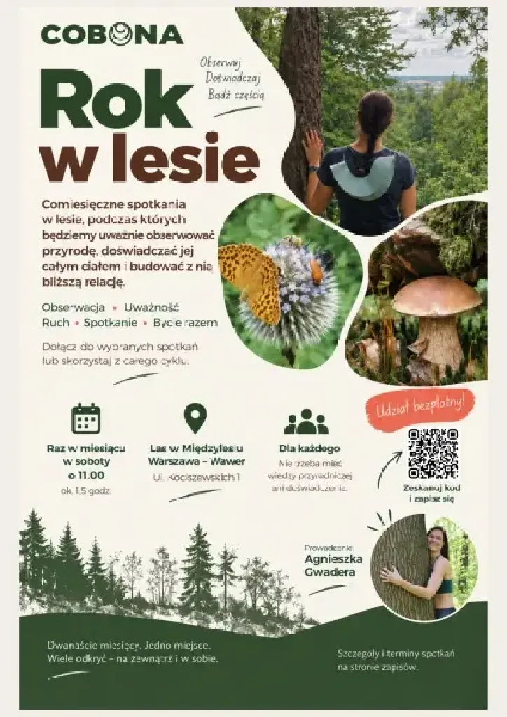 Rok w lesie – cykl spotkań z naturą