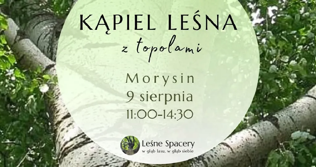 Kąpiel leśna z topolami – spacer terapeutyczny