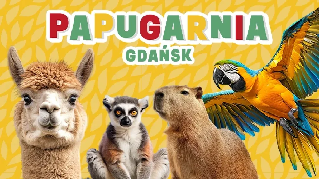 Papugarnia Gdańsk – spotkania ze zwierzętami