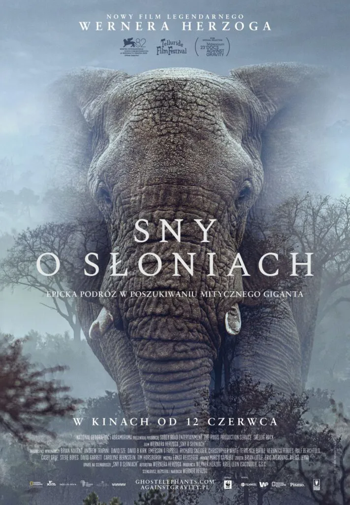 Sny o słoniach – seans filmowy