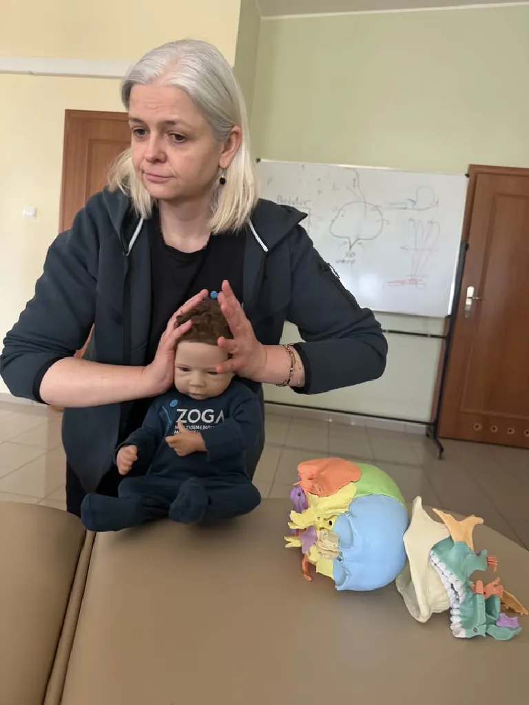 Integracja strukturalna czaszki – szkolenie