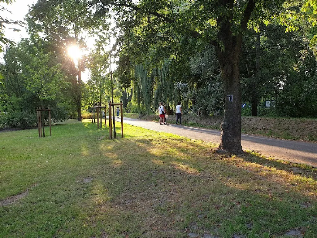 Park Adama Wodziczki