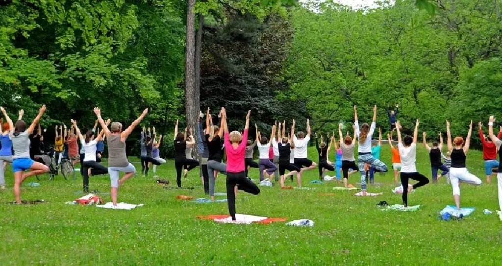 Joga w Parku Źródliska I