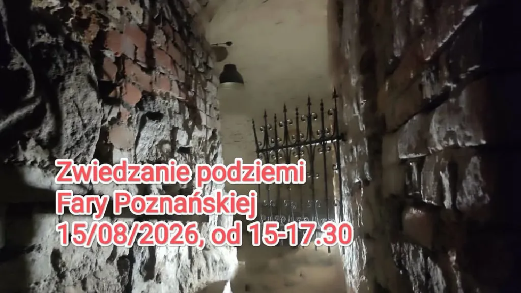 Podziemia Fary Poznańskiej – zwiedzanie