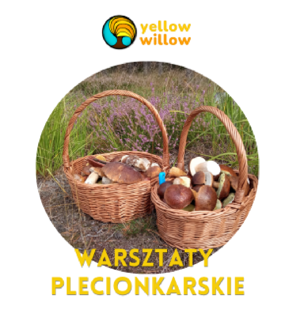 Warsztaty wyplatania koszy na grzyby