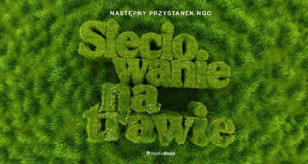 Następny przystanek – NGO „Sieciowanie na trawie”