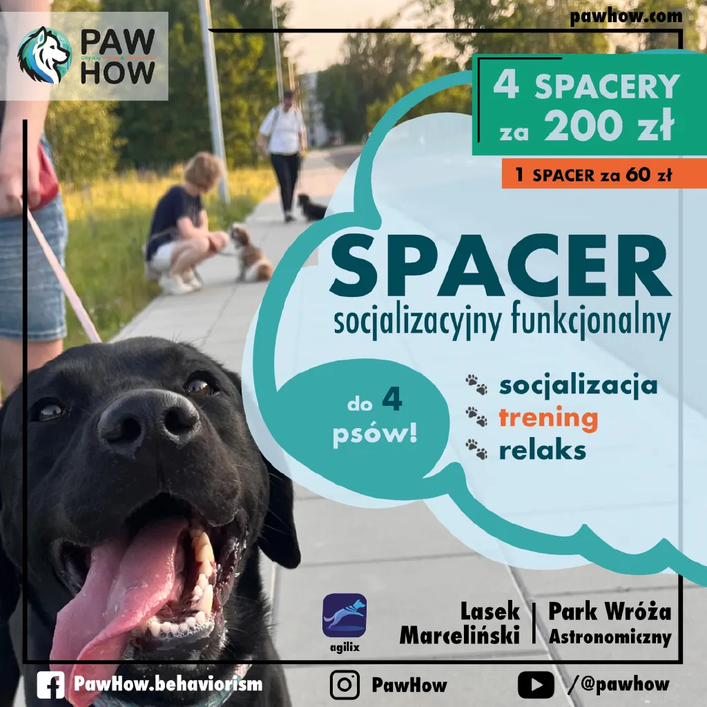 Spacer socjalizacyjny funkcjonalny dla psów i opiekunów. Pies