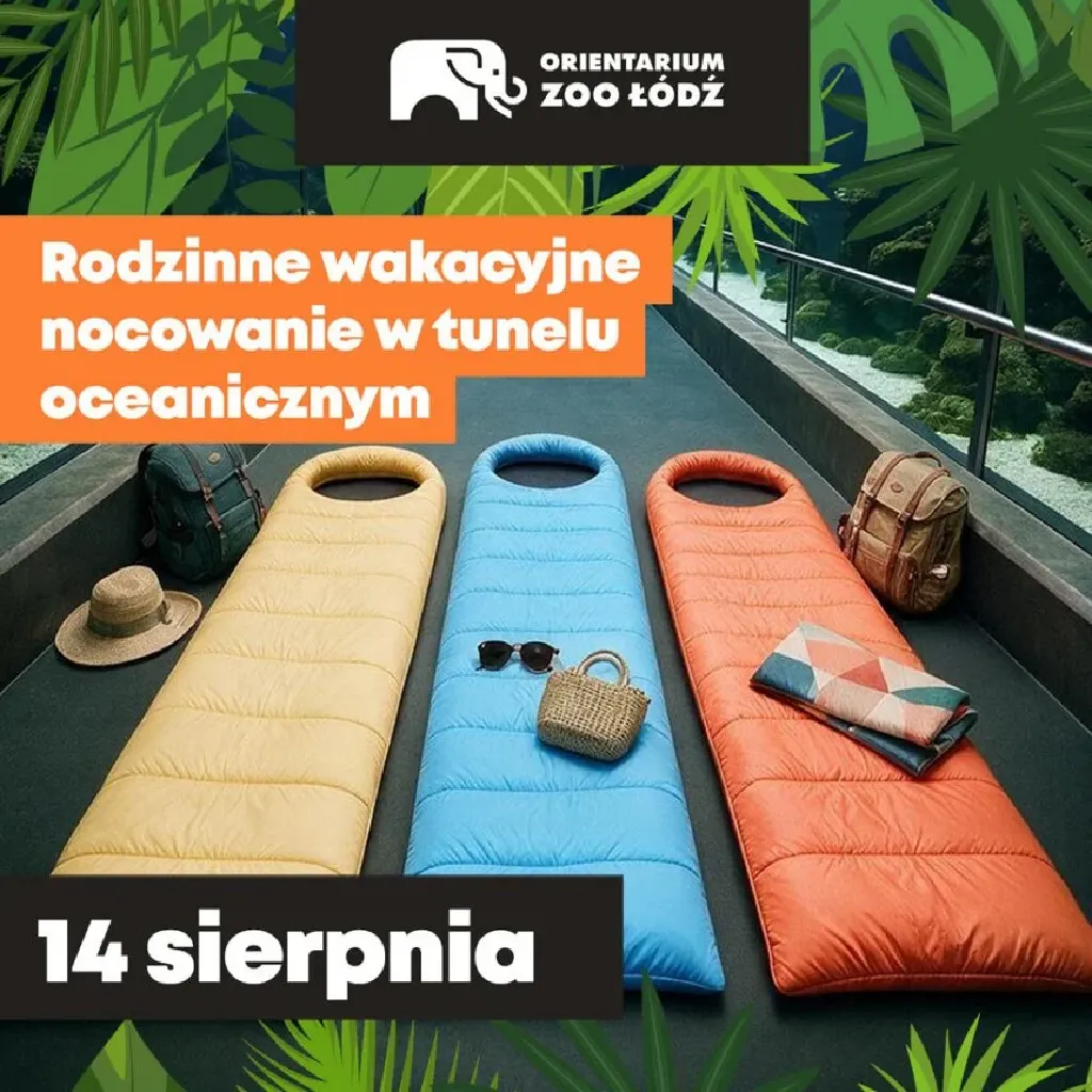Rodzinne nocowanie w tunelu oceanicznym – Orientarium ZOO Łódź