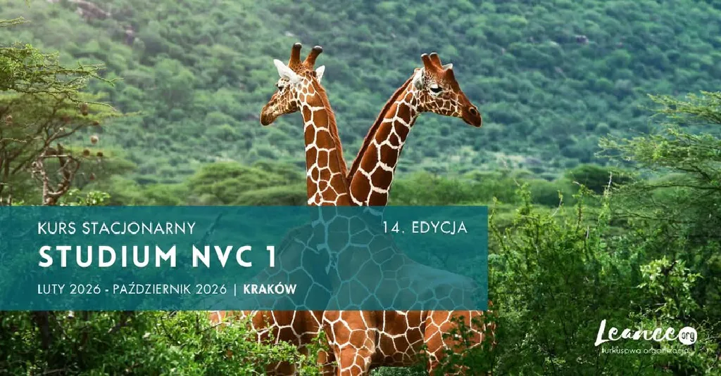 Studium Porozumienia Bez Przemocy – roczny kurs