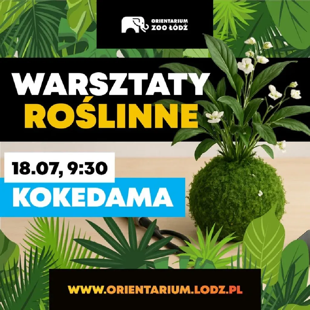 Warsztaty roślinne: Kokedama w Orientarium ZOO Łódź