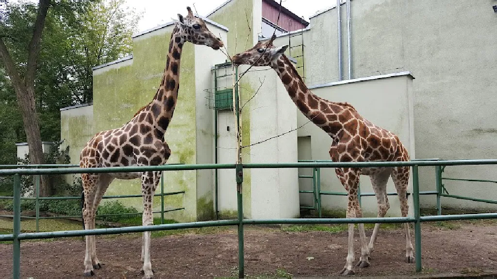 Orientarium ZOO Łódź