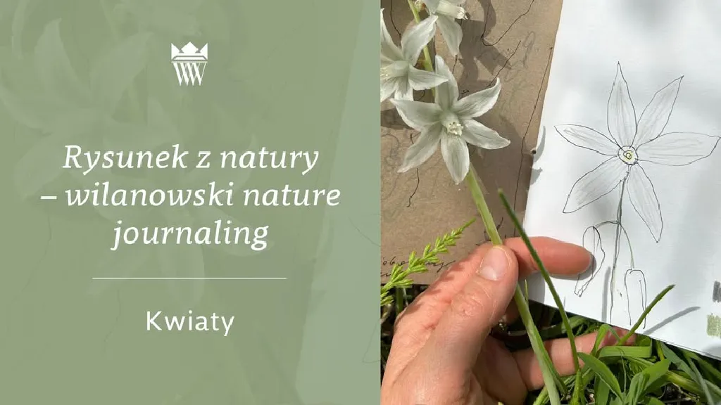 Rysunek z natury – wilanowski nature journaling