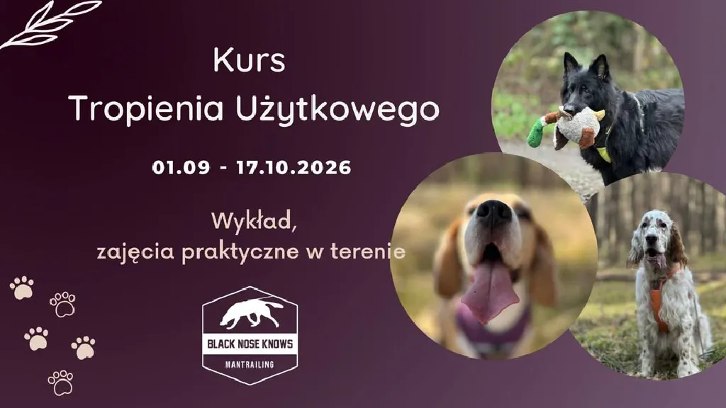 Kurs tropienia użytkowego – mantrailing