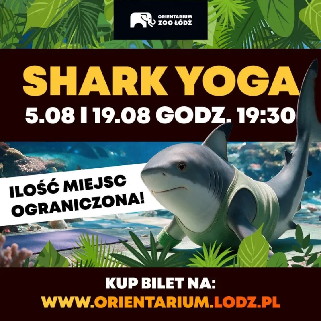 Shark Yoga – joga w Orientarium ZOO Łódź
