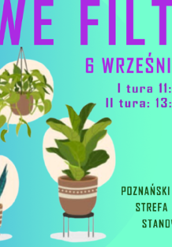 Domowe filtry – warsztaty roślinne