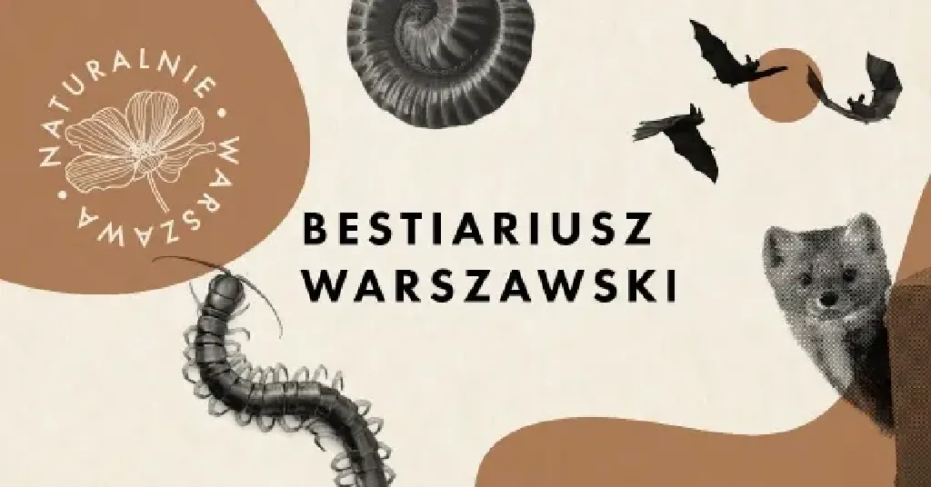 Liściowy zawrót głowy – spacer przyrodniczy