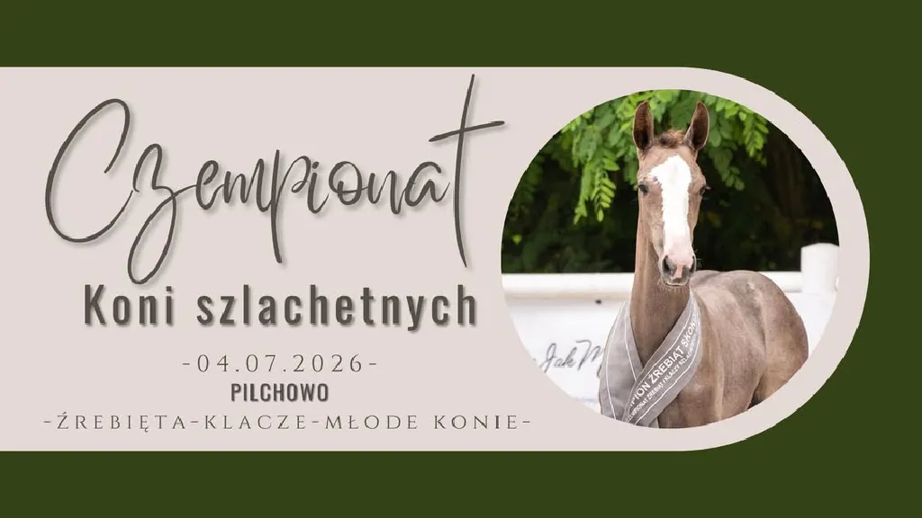 IV Czempionat Koni Szlachetnych w Pilchowie