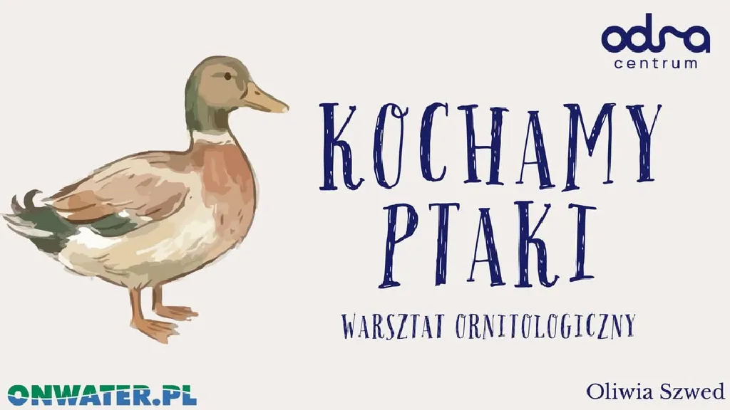 Kochamy Ptaki – warsztaty ornitologiczne