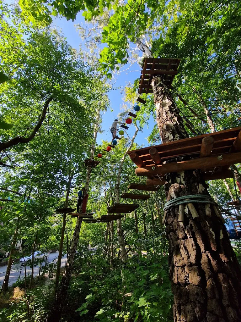 Park Linowy Góra Harców