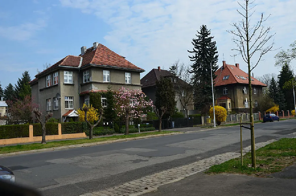 Zalesie – spacer tematyczny po osiedlu