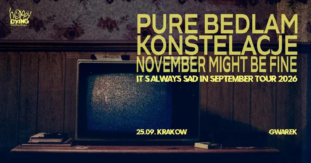 Pure Bedlam, Konstelacje, November Might Be Fine – koncert