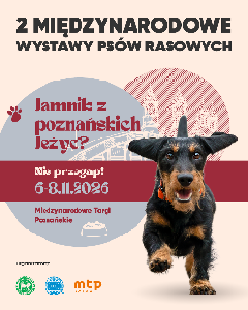 Międzynarodowe Wystawy Psów Rasowych