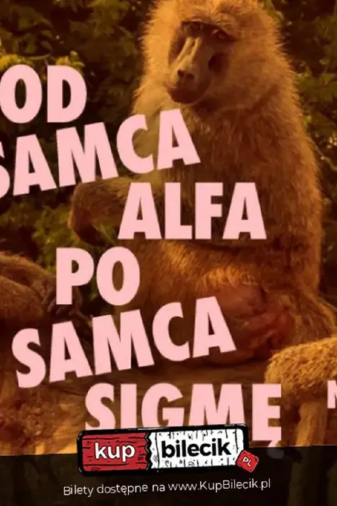 Od Samca Alfa po Samca Sigmę – spektakl improwizowany