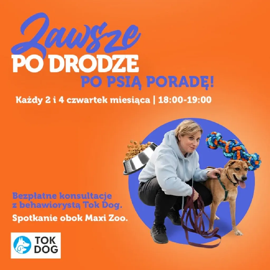 Tok dog – bezpłatne konsultacje behawioralne
