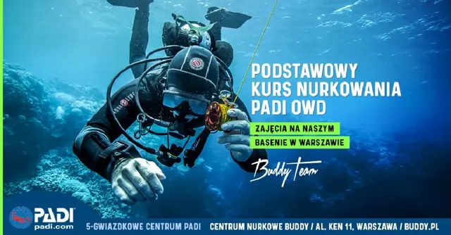 Kurs nurkowania PADI OWD – podstawy na basenie w Warszawie