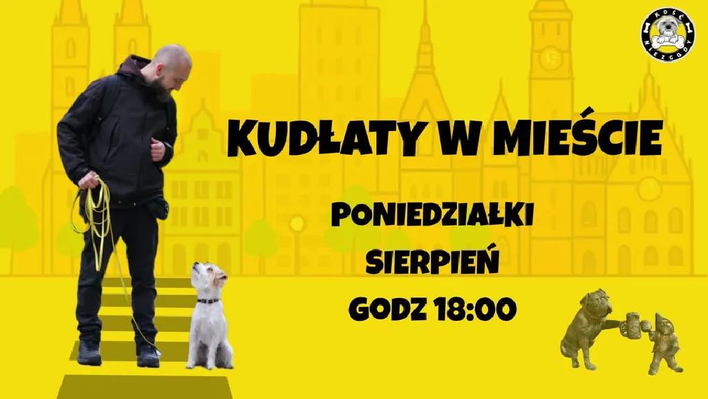 Kudłaty w Mieście – treningi z psem