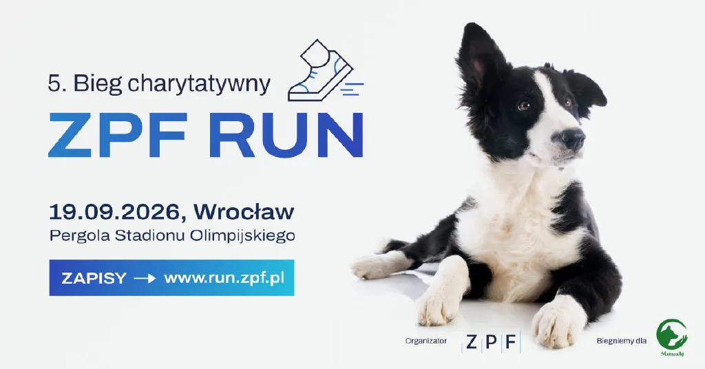 ZPF RUN – bieg charytatywny