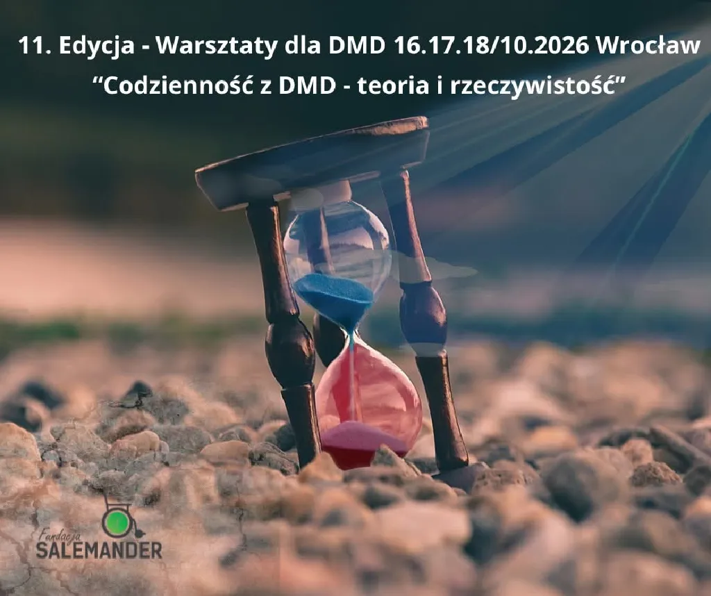 Warsztaty dla DMD – teoria i rzeczywistość