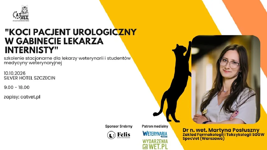 Koci pacjent urologiczny – szkolenie dla lekarzy weterynarii
