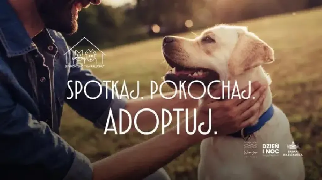 Spotkaj. Pokochaj. Adoptuj – spotkanie z psami z Palucha
