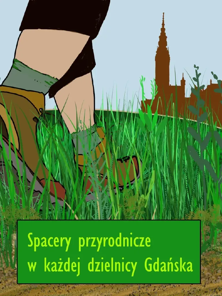 Grzyby wokół nas – spacer przyrodniczy