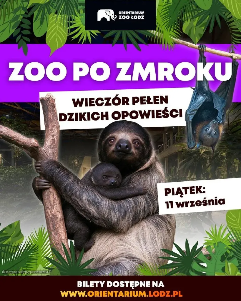 ZOO po zmroku – nocne zwiedzanie Orientarium