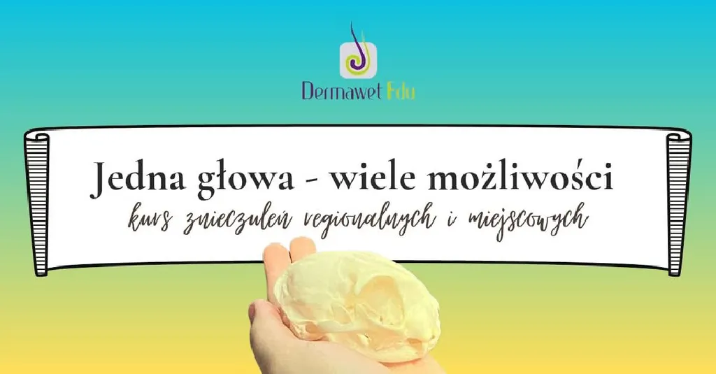 Znieczulenia regionalne i miejscowe w obrębie głowy psów i kotów – kurs
