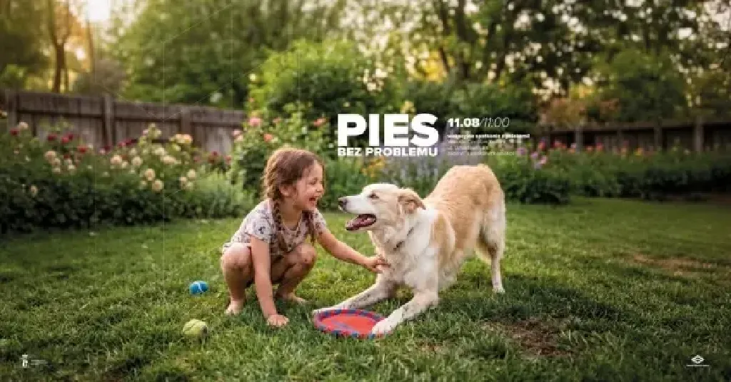 Pies bez problemu – spotkanie z behawiorystką