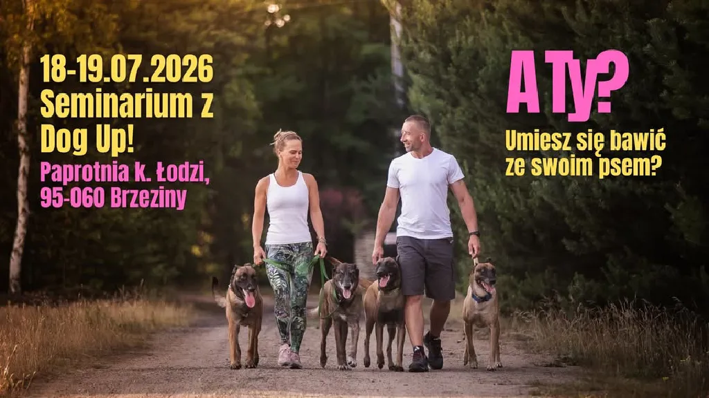 Seminarium z zabawy z Dog Up!